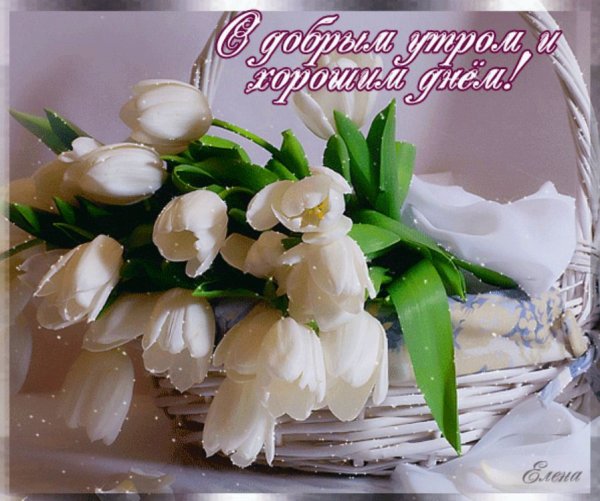 Доброе у РО С Подснежн ками