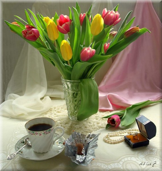 Утренние тюльпаны