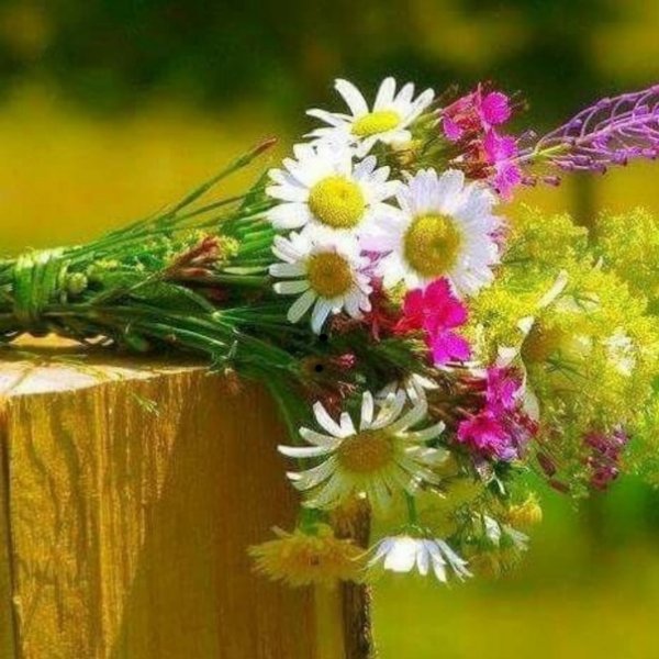 С добрым утром полевые букеты с надписями