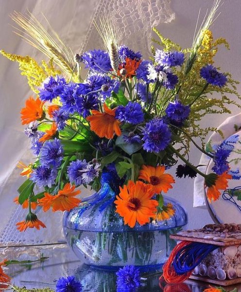 Полевые цветы с пожеланиями