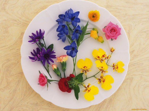 Открытки с добрым утром с полевыми цветами