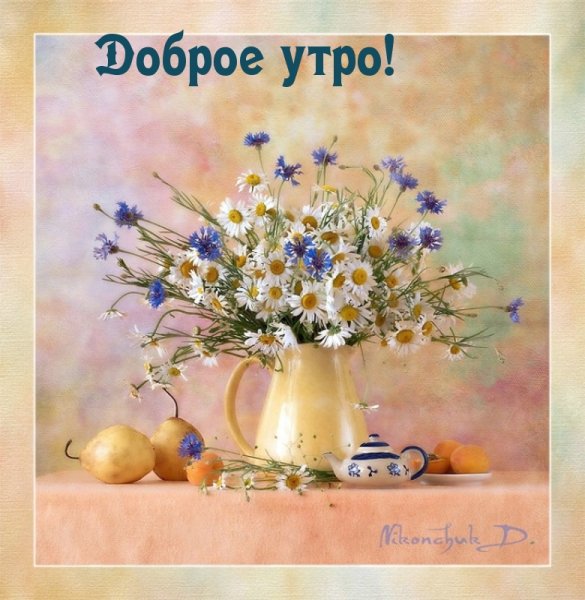 Доброе утро с васильками