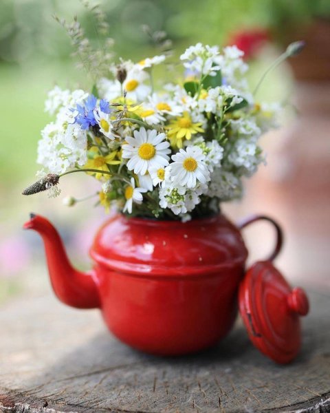 Доброе утро васильки и ромашки