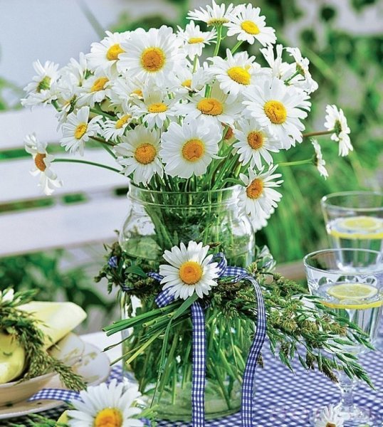 Открытки полевые цветы