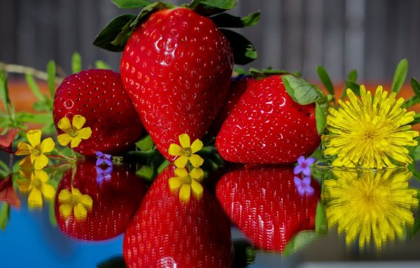 Цветы фрукты ягоды