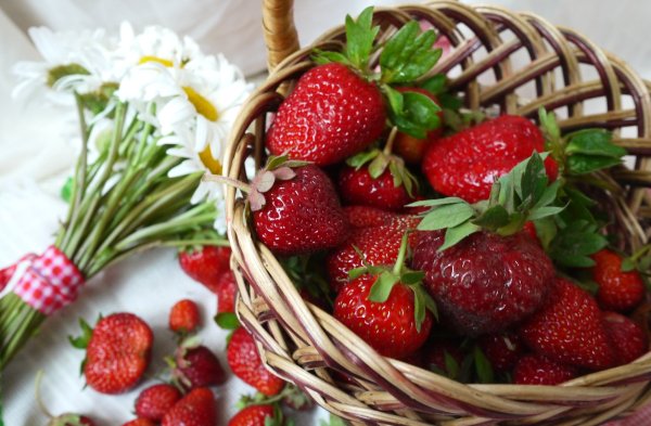 Цветок клубники