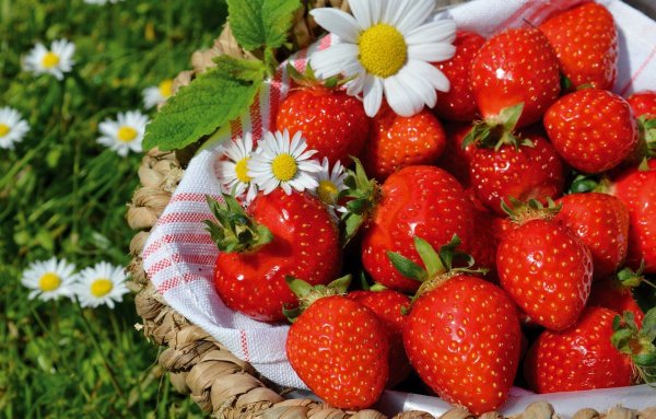 Корзина с клубникой