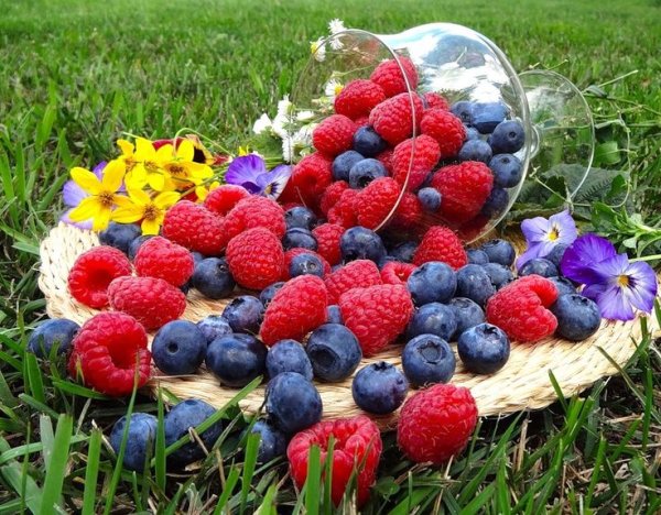 Летняя заставка на рабочий стол компьютера