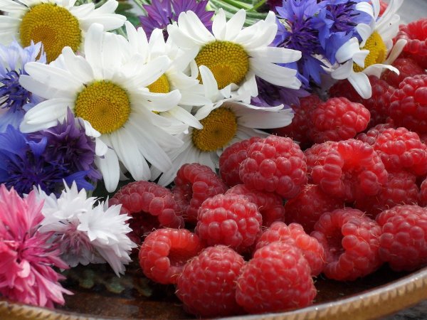 Ягоды летом