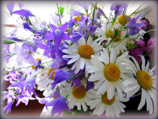С днем рождения открытки красивые цветы
