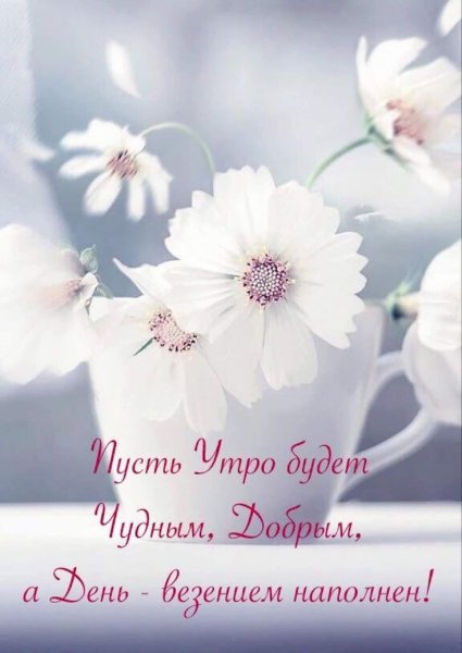 Цветы в постели утром
