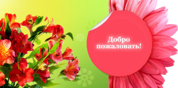 Добро пожаловать в цветах