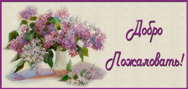 Добро пожаловать!