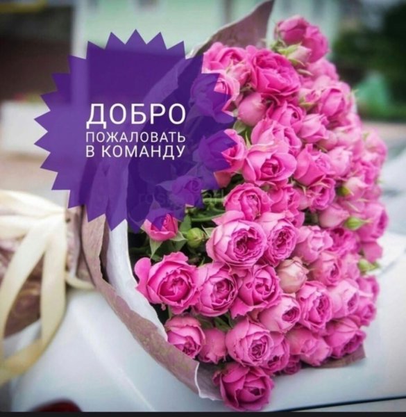 Добро пожаловать в команду