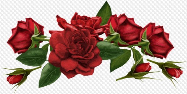 Добро пожаловать цветы