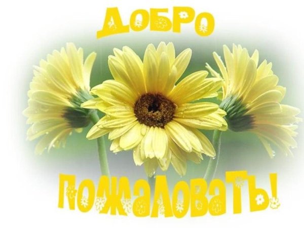 Добро пожаловать открытка