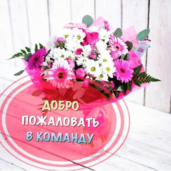 Добро пожаловать в нашу команду