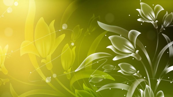 Абстрактный фон цветы