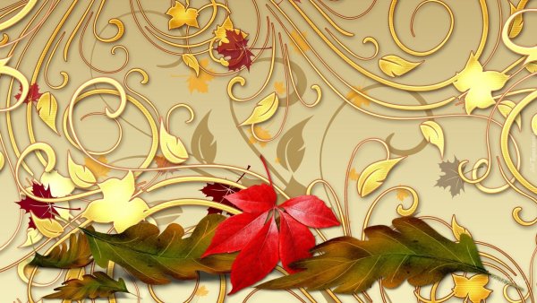 Золотистые цветы фон