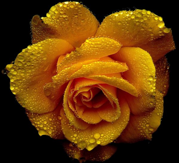 Фон с узорами