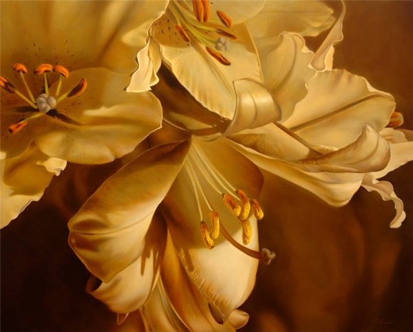 Желтые Фракталы