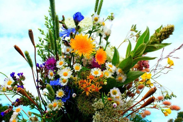 Букет луговых цветов