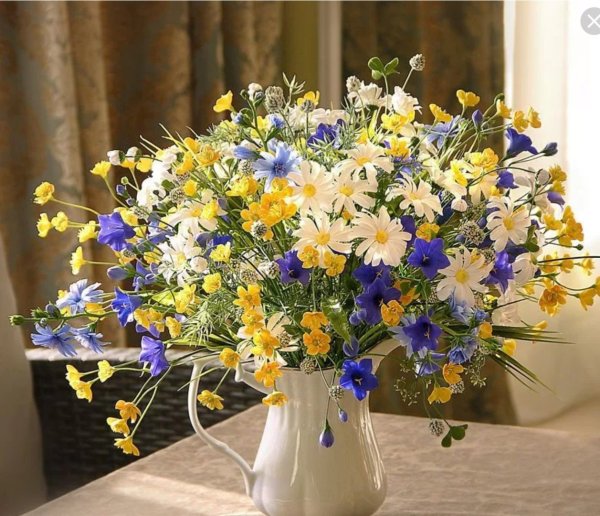 Марина Филатова блоггер