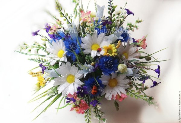 Полевые цветы