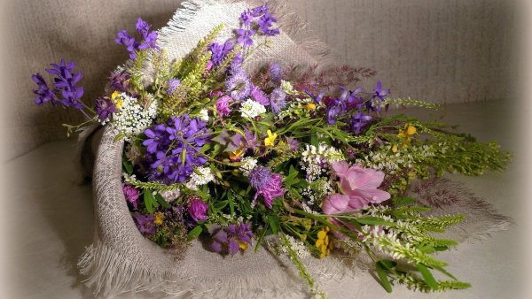 Летние цветы