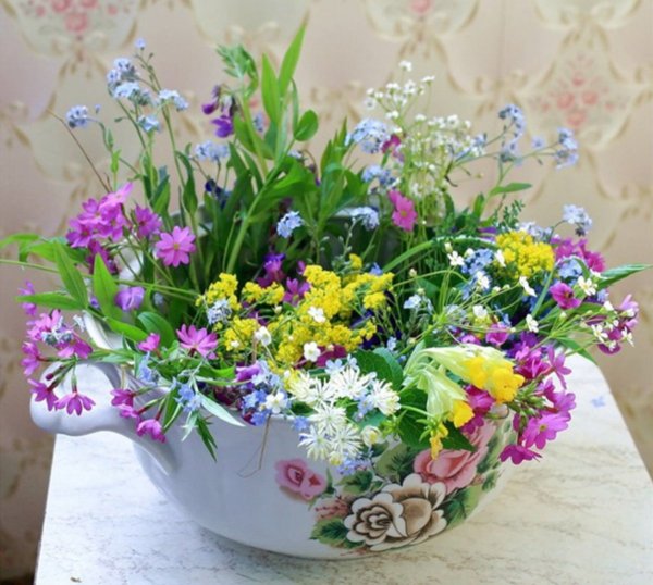 Много полевых цветов