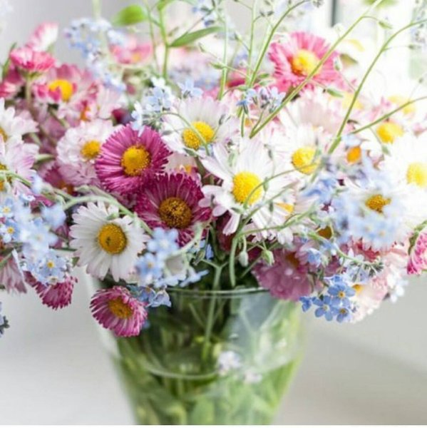 Букет полевых цветов