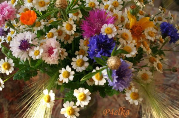 Букет из полевых цветов