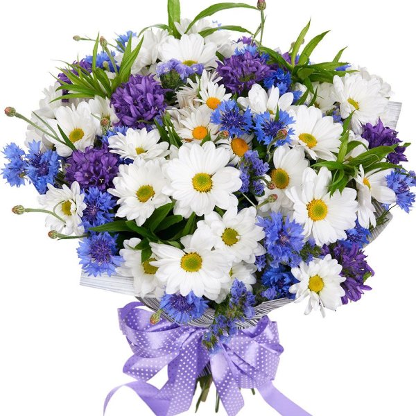 Открытки с днем рождения полевые цветы