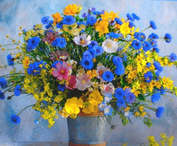 Космея васильки шалфей