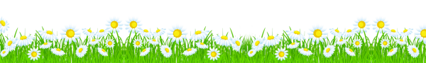 Клипарт Поляна с ромашками на прозрачном фоне