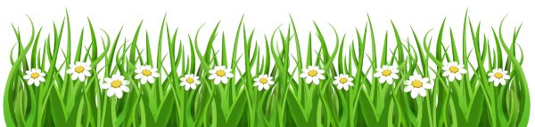 Травка для детей