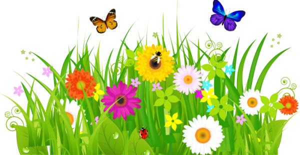 Поляна цветов на прозрачном фоне