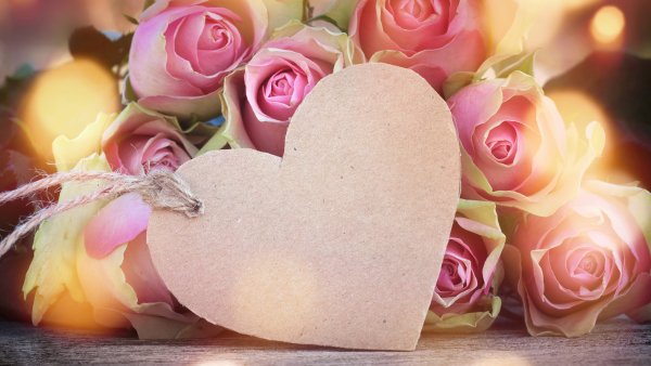 Цветы в постель