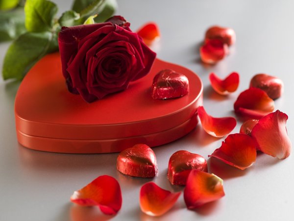 Натюрморт с цветами на темном фоне