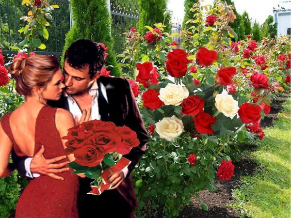 Романтические цветы