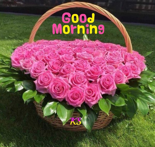 Доброго утра и хорошего дня цветы