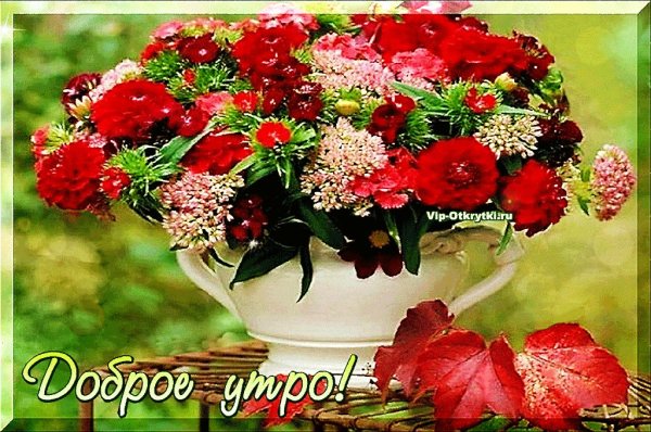 Утренние цветы