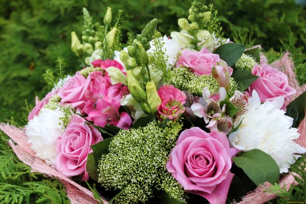 Роскошные цветы