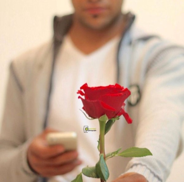 Парень держит розу