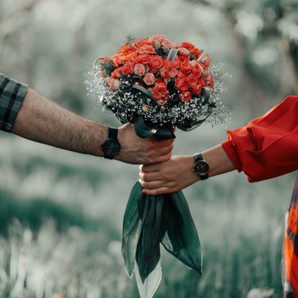 Ромашки в руках