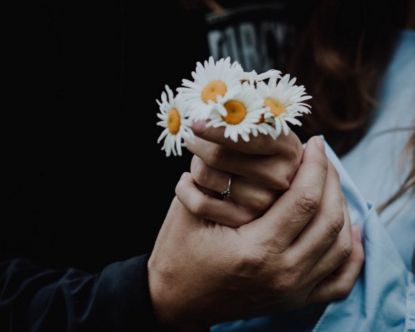 Роза в руке мужчины