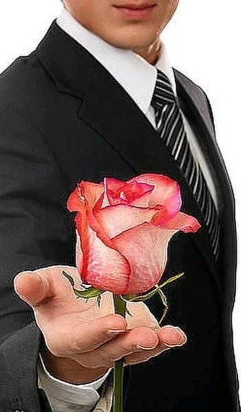 Предложение руки и сердца