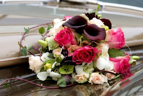 Роскошные цветы