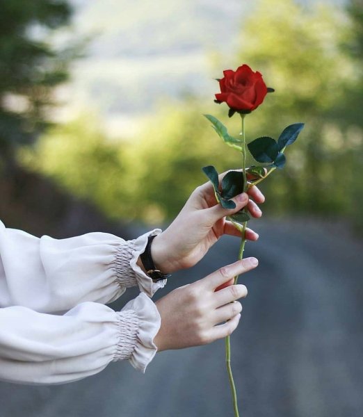 Девушка с цветком