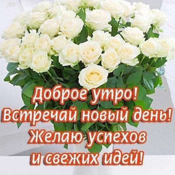 Доброе утро пожелания красивые